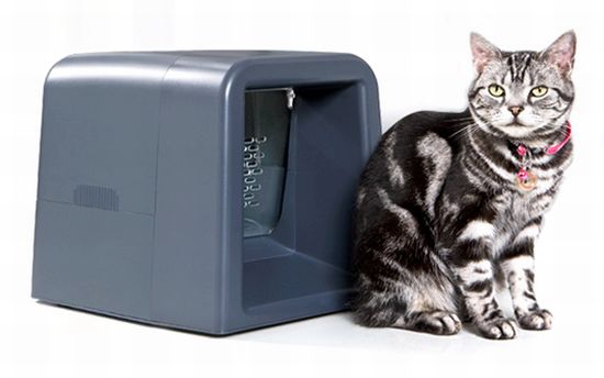 RFID-equipped cat feeding system ensures a 'smart' diet - SecureIDNews