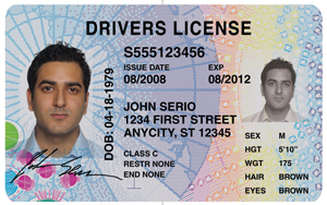 Florida Fake Driver License - Buy Fake ID & Driver License Online